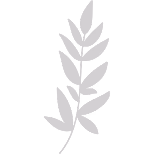 Adesivo de planta em fundo branco