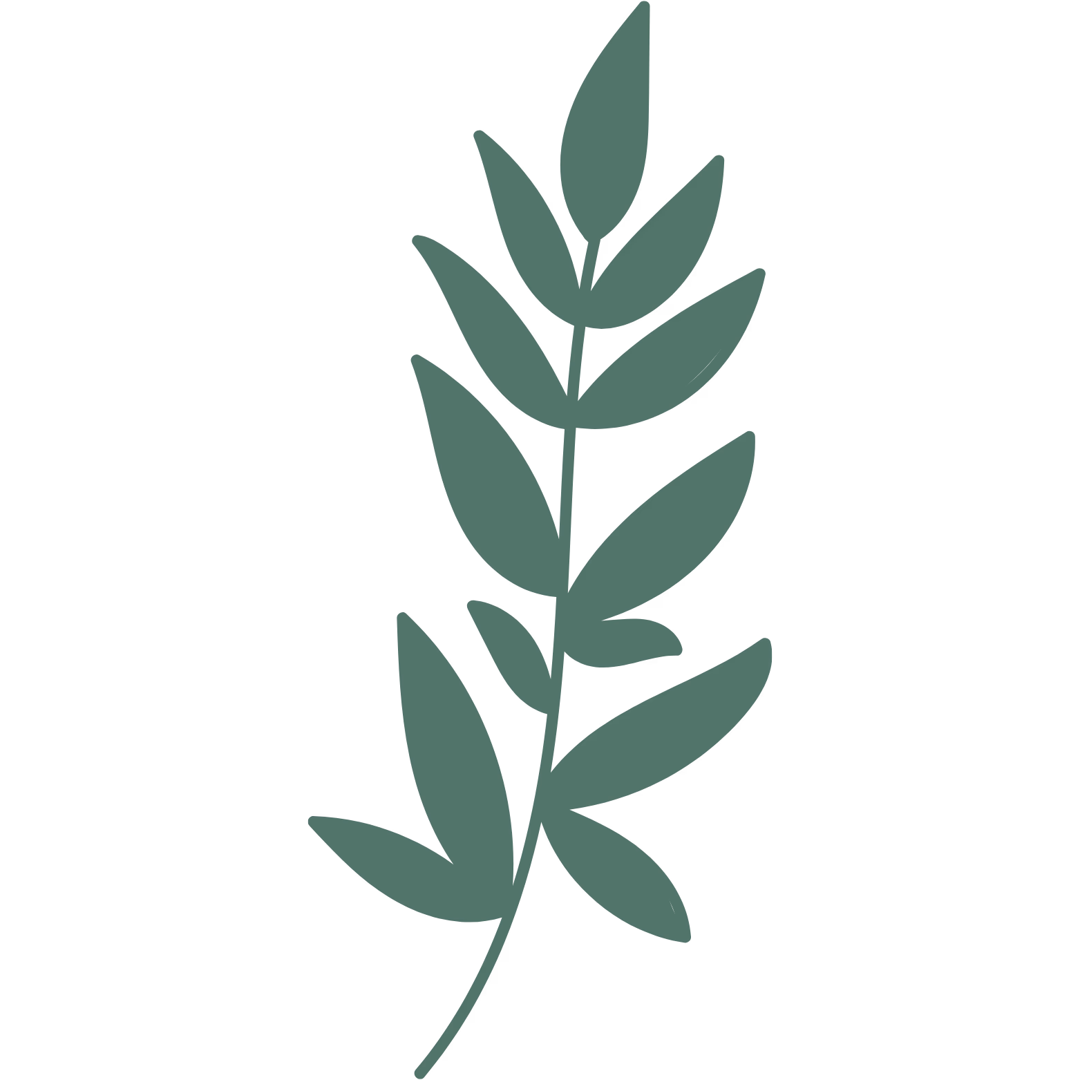 Decoração de planta verde que complementa o ambiente